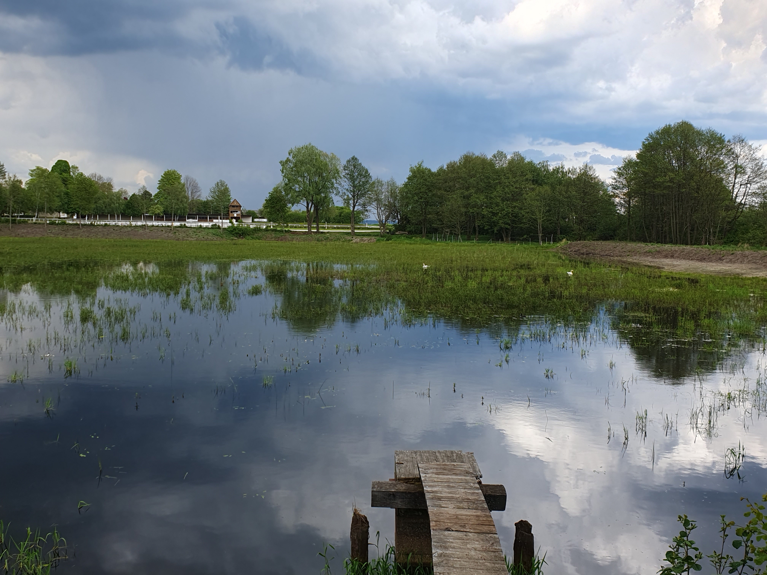 Seeteich bei Edelhof (c) E Moll 2024