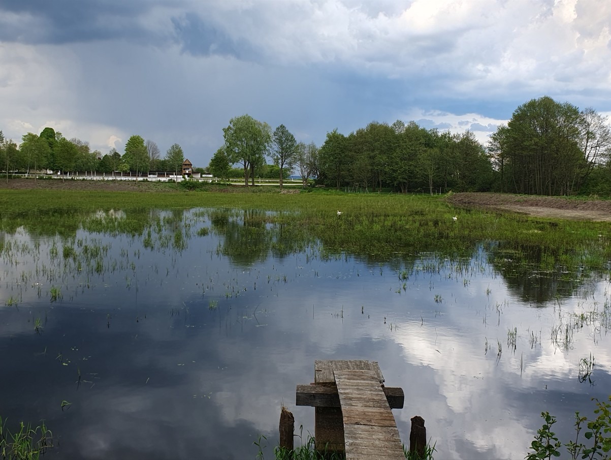 Seeteich Edelhof